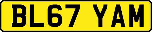 BL67YAM