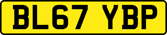 BL67YBP