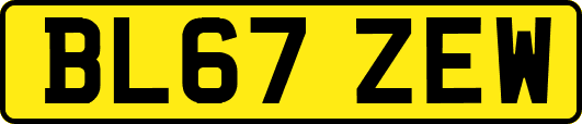 BL67ZEW