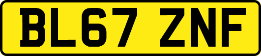 BL67ZNF