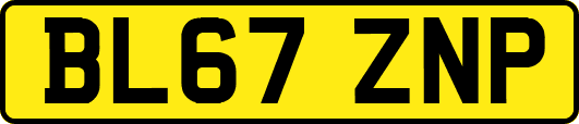 BL67ZNP