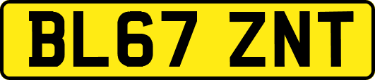 BL67ZNT