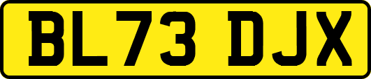 BL73DJX