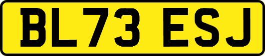 BL73ESJ