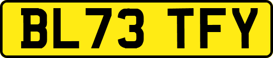 BL73TFY