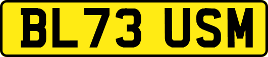 BL73USM