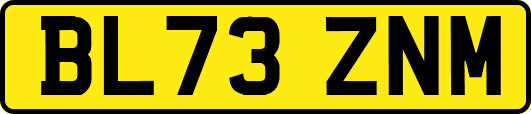 BL73ZNM