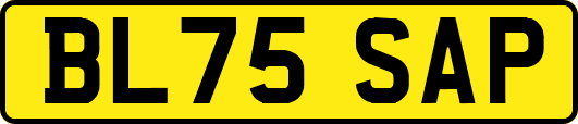 BL75SAP