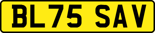 BL75SAV