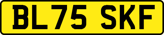 BL75SKF