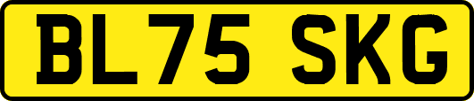 BL75SKG