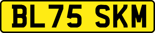 BL75SKM