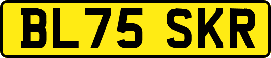 BL75SKR