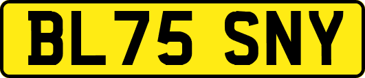 BL75SNY