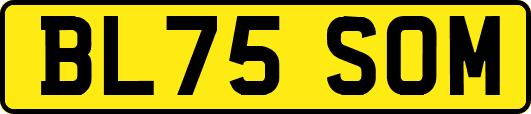 BL75SOM