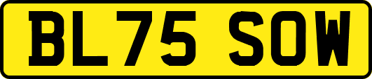 BL75SOW