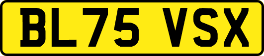 BL75VSX