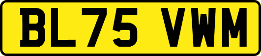 BL75VWM