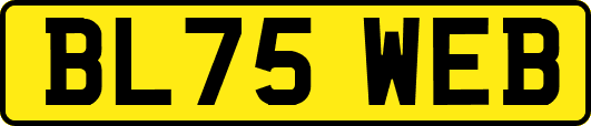 BL75WEB