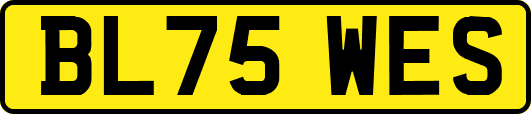 BL75WES