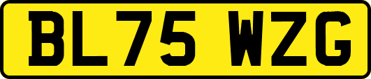 BL75WZG
