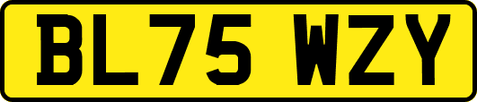 BL75WZY