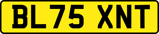BL75XNT