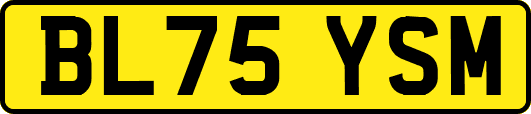 BL75YSM