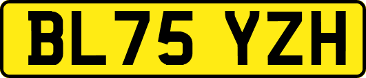 BL75YZH