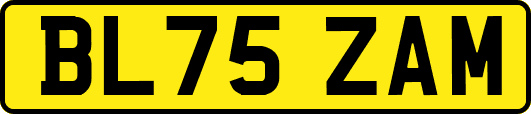 BL75ZAM