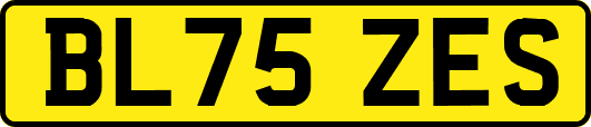 BL75ZES