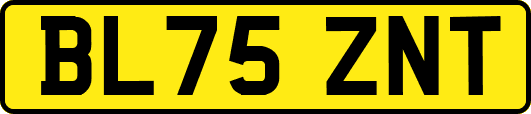 BL75ZNT