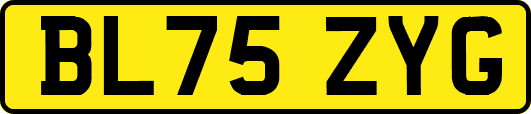 BL75ZYG