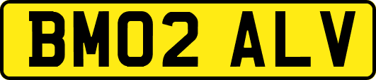 BM02ALV