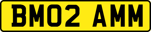 BM02AMM