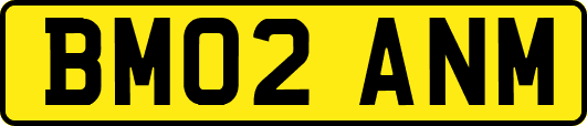 BM02ANM