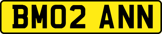 BM02ANN