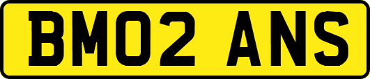 BM02ANS