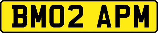 BM02APM
