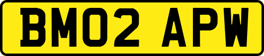 BM02APW