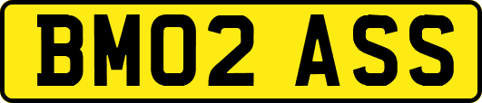 BM02ASS