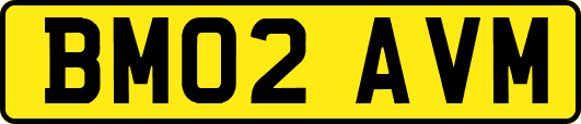 BM02AVM