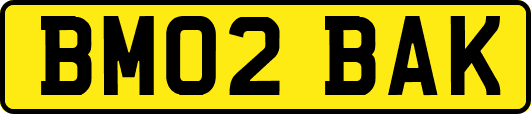 BM02BAK