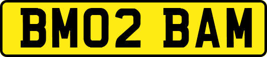 BM02BAM