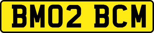 BM02BCM