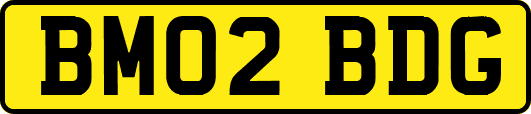 BM02BDG