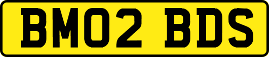 BM02BDS