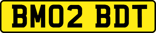 BM02BDT