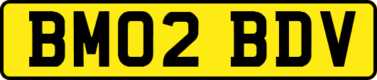 BM02BDV