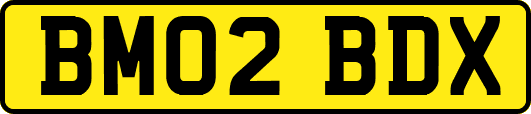 BM02BDX